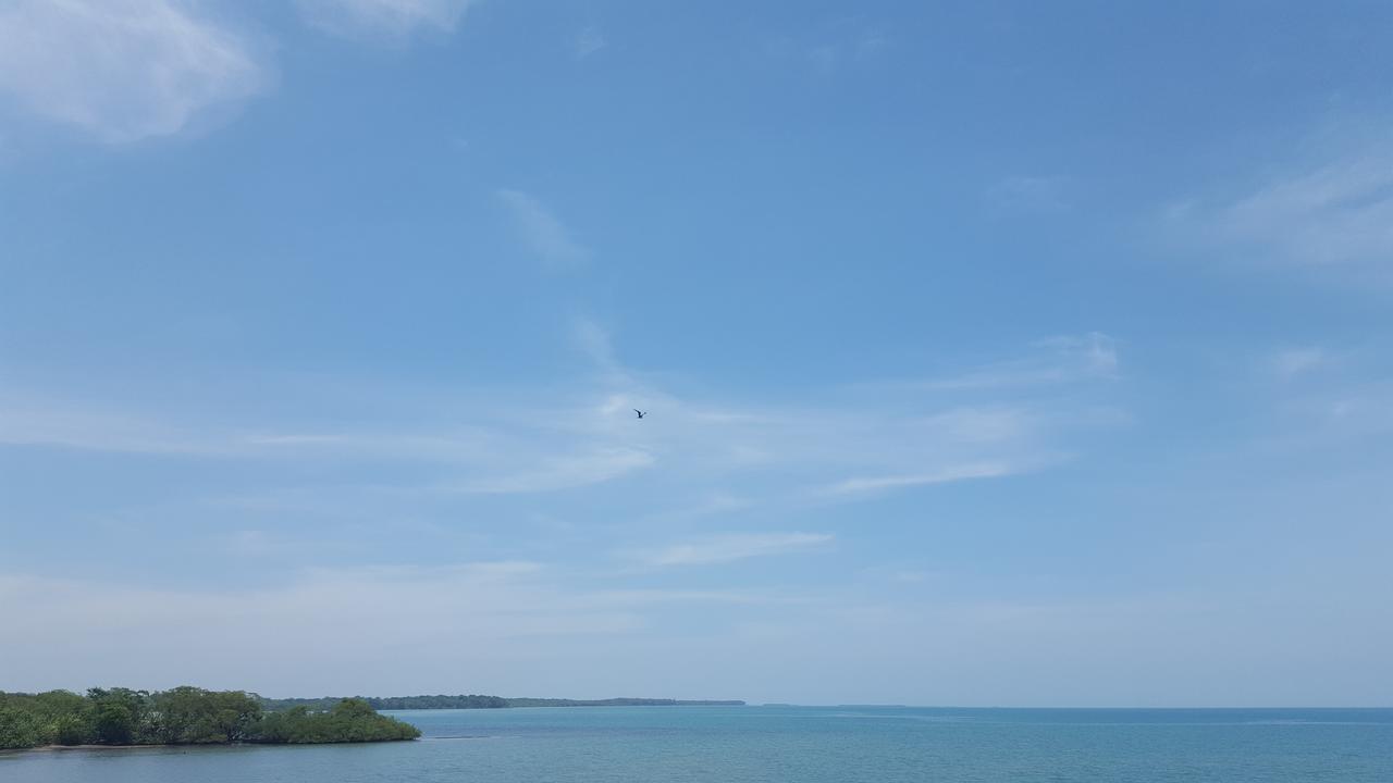 The Sea Front Inn Пунта Горда Екстериор снимка
